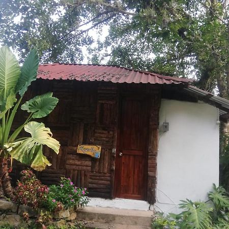 Villa Ecoturística La Huerta de Xilitla Exterior foto