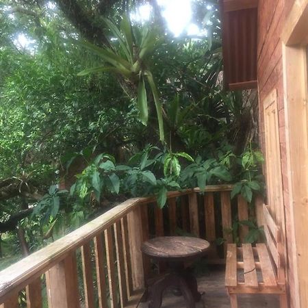 Villa Ecoturística La Huerta de Xilitla Exterior foto