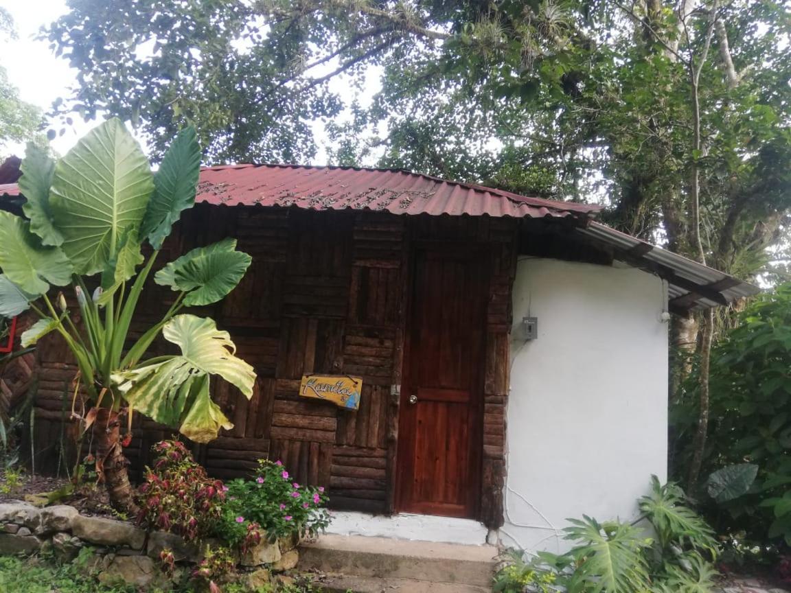 Villa Ecoturística La Huerta de Xilitla Exterior foto
